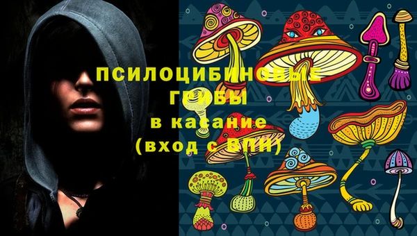 ГАЛЛЮЦИНОГЕННЫЕ ГРИБЫ Вяземский