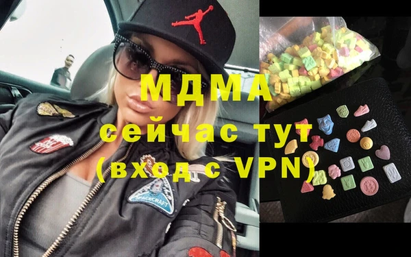 индика Вязники