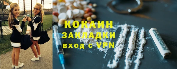 индика Вязники