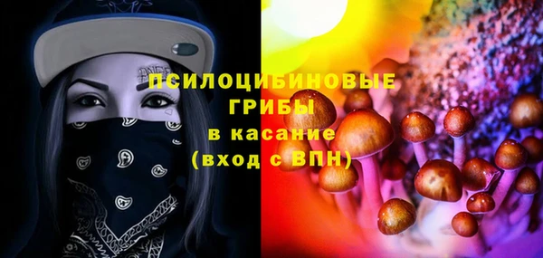 прущие крисы Горно-Алтайск